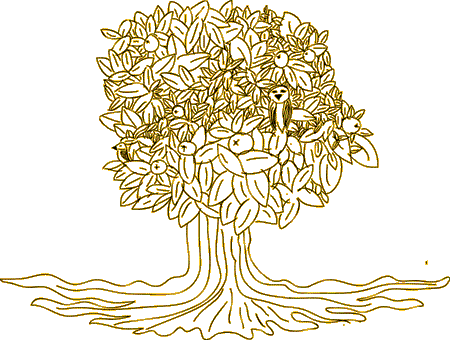 Illustration of a tree with visible roots, symbolizing growth and grounding in therapy